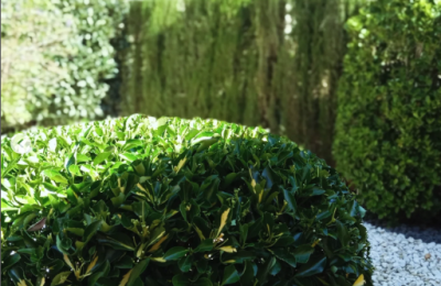 Captura_de_pantalla_2025-06-19_101108