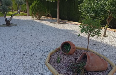 Captura_de_pantalla_2025-06-19_101540