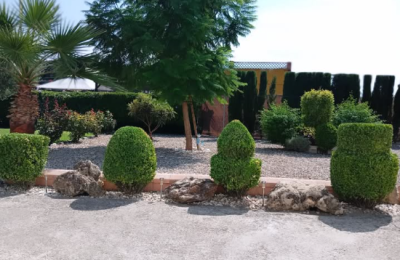 Captura_de_pantalla_2025-06-19_101555